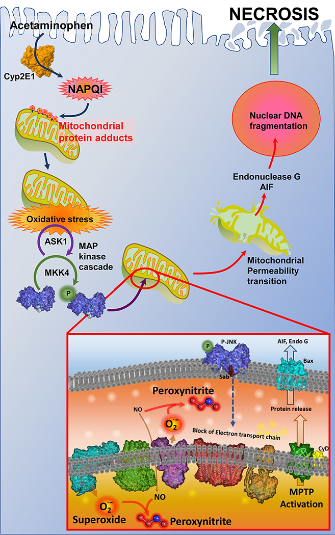 Figure 1: