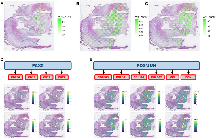 FIGURE 3