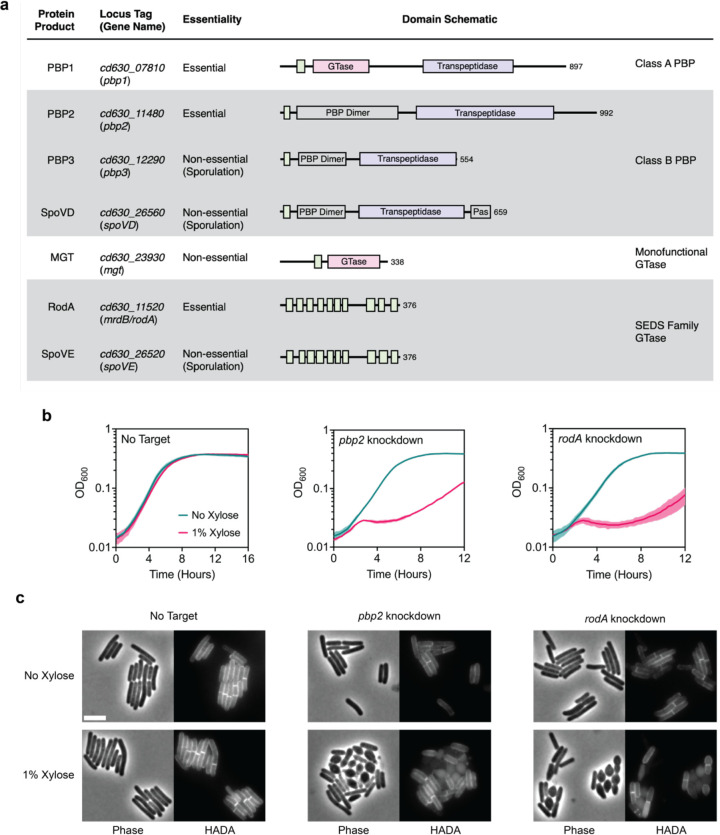 Fig. 4 |