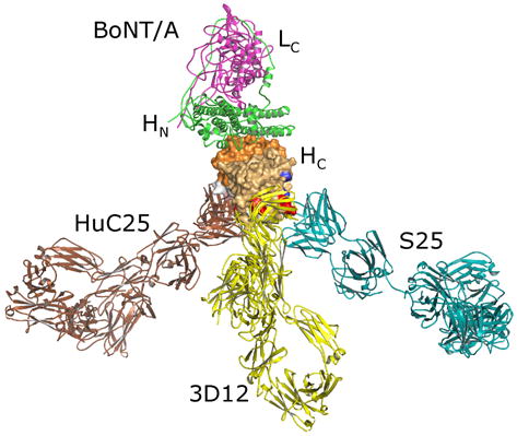 Figure 7