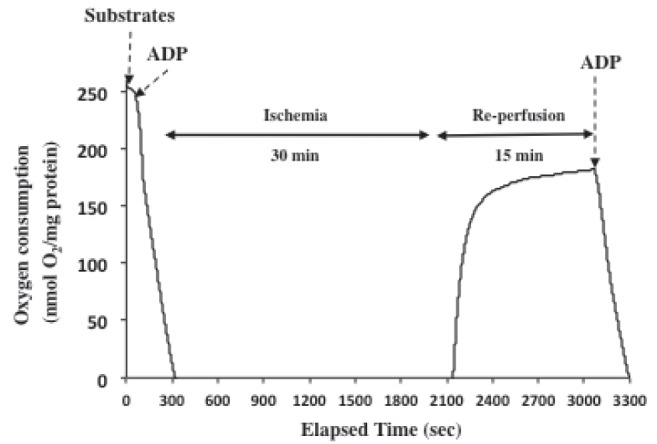 Figure 1)