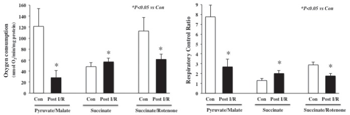 Figure 2)