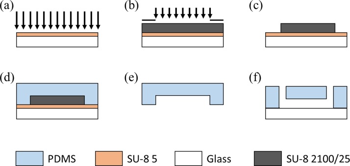 FIG. 2.