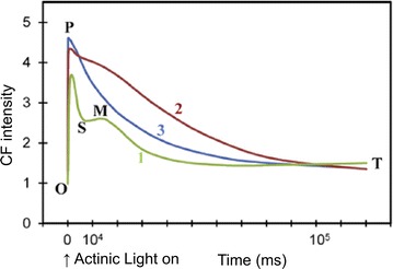 Fig. 2