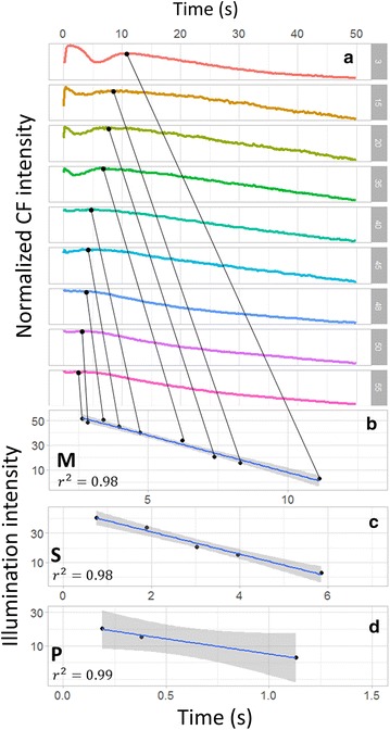 Fig. 5