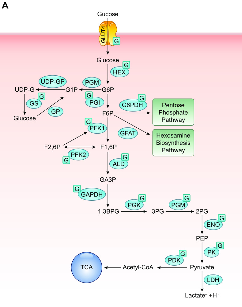 FIGURE 10.