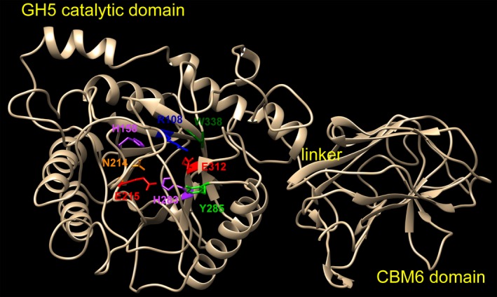 Figure 5