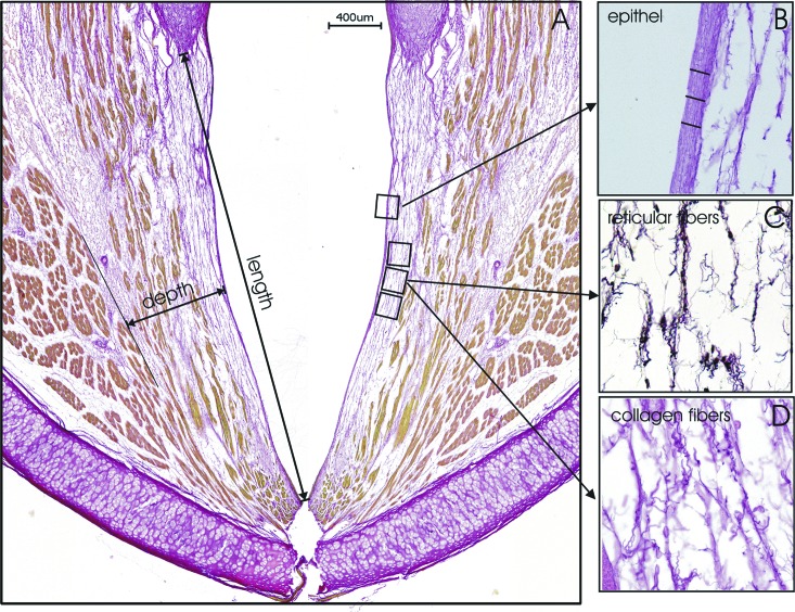 FIG. 3.