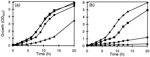 FIG. 6