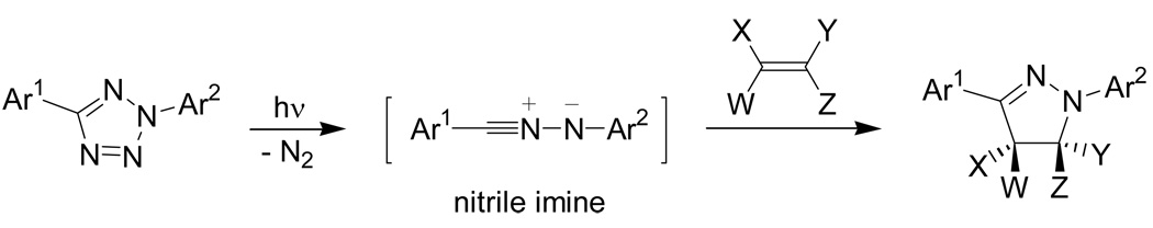 Scheme 7