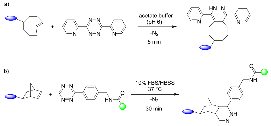 Scheme 6