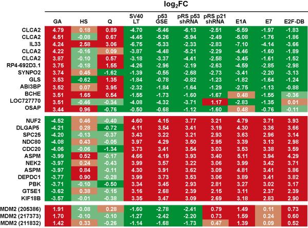 Figure 2: Senescence specific changes in gene expression