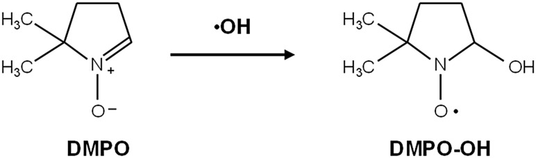 Fig. 1.