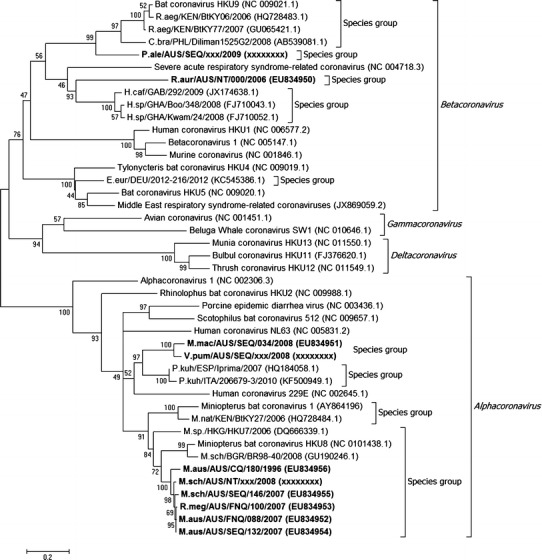 Figure 2