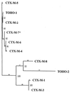 FIG. 4