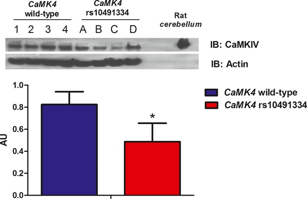 Figure 10.