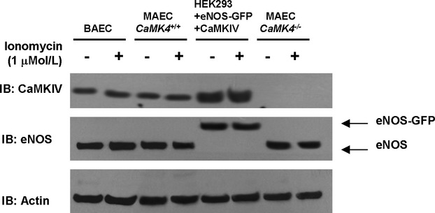 Figure 9.