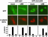 Fig. 3.