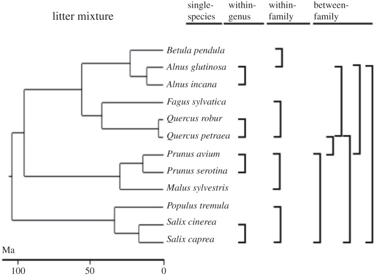 Figure 1.