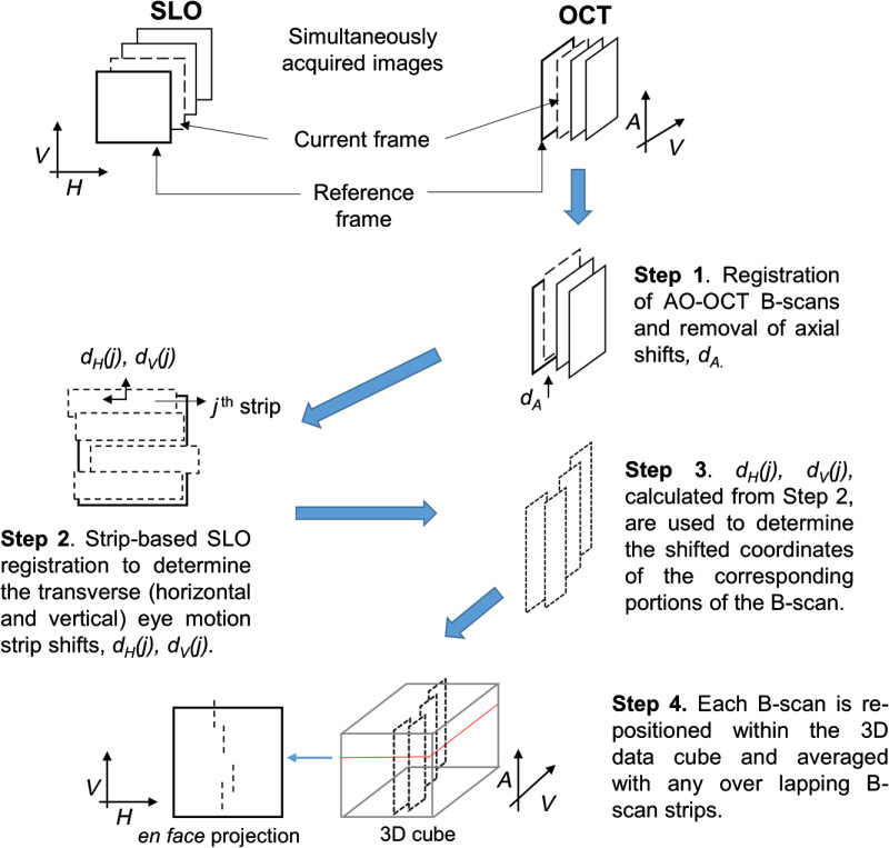 Fig. 3