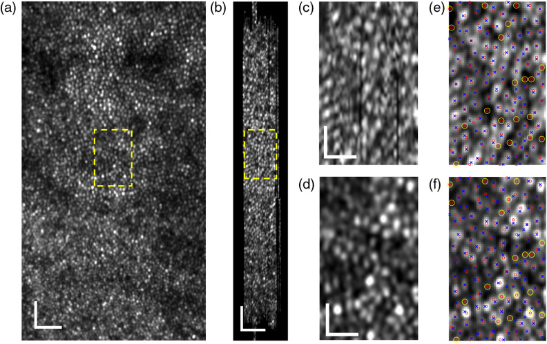 Fig. 10