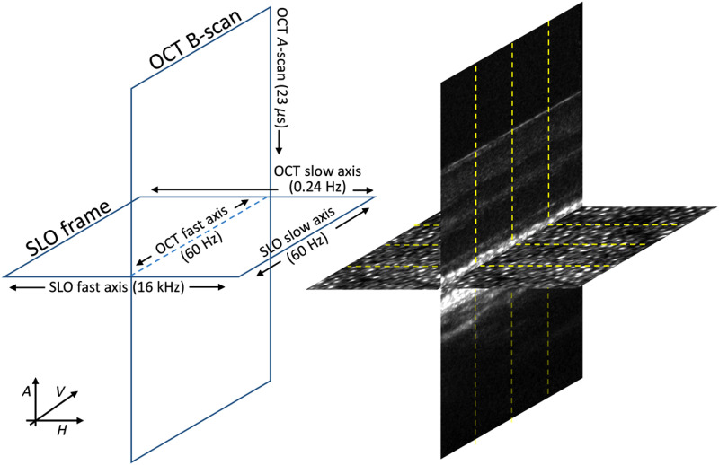 Fig. 2