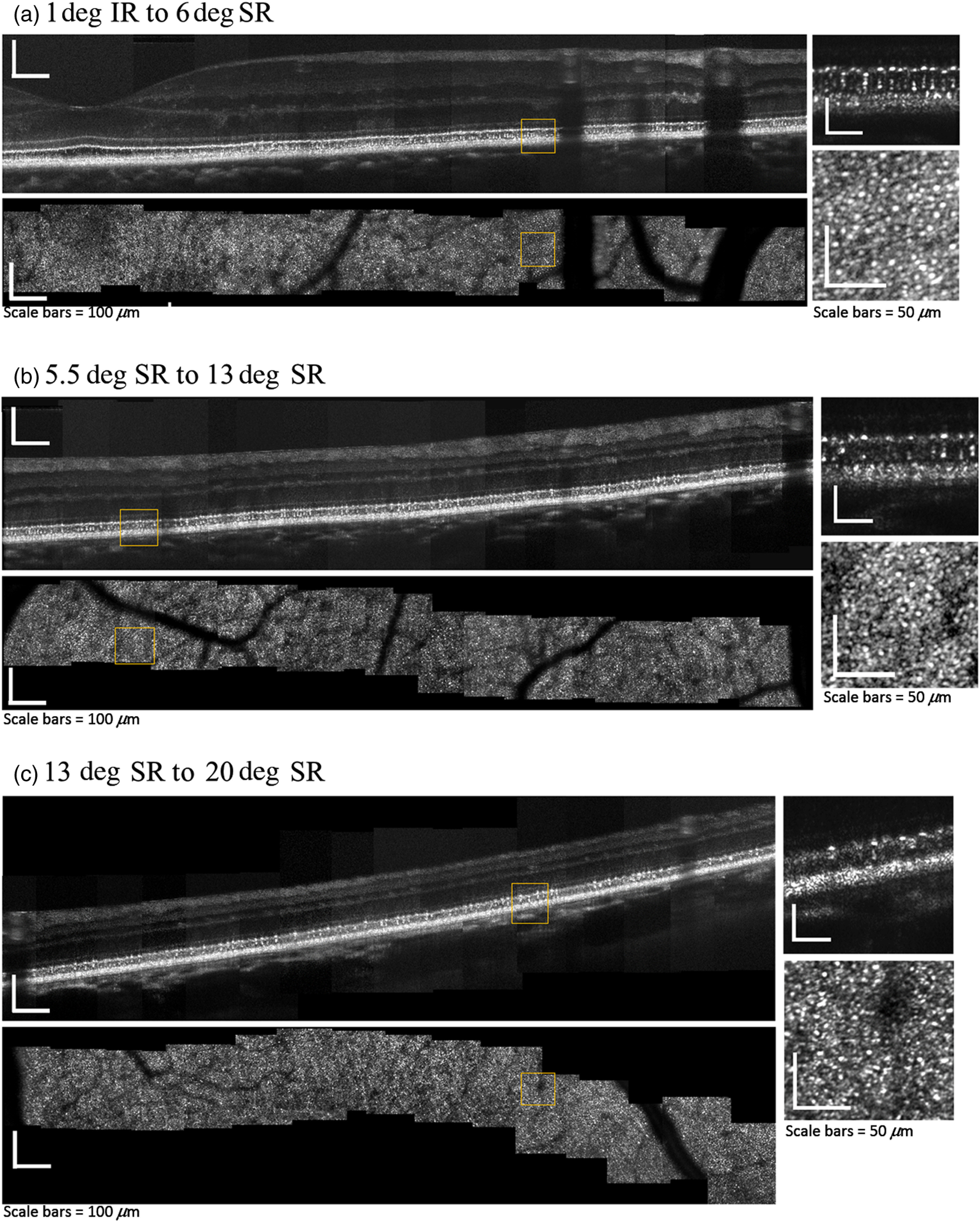 Fig. 8