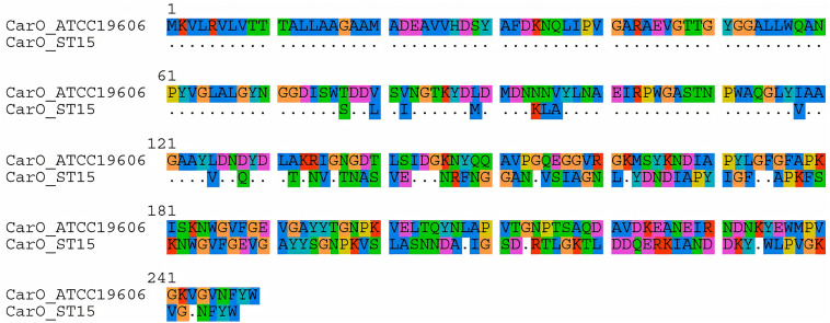 FIGURE 4