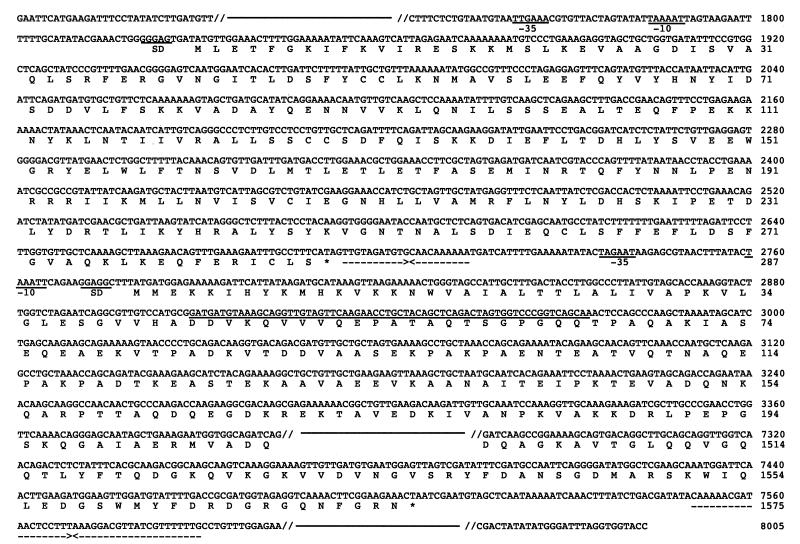 FIG. 6