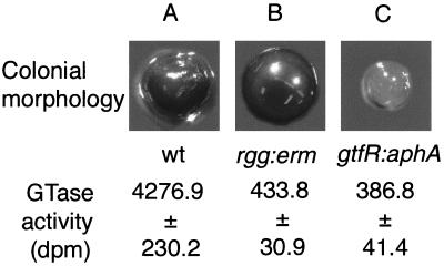 FIG. 9