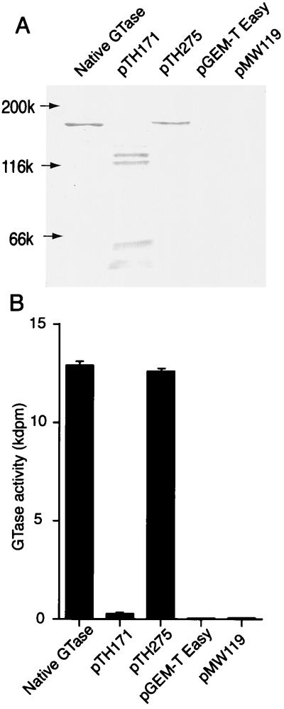 FIG. 5