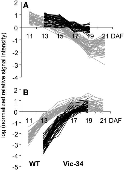 Figure 12.