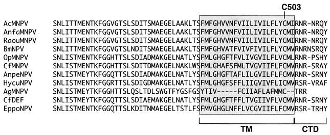 FIG. 7.