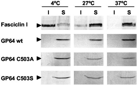 FIG. 5.