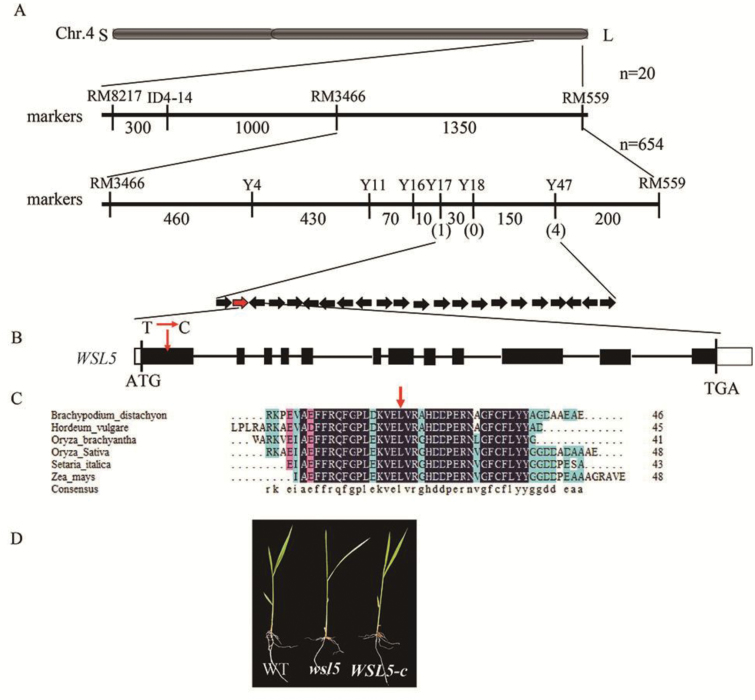 Fig. 3.