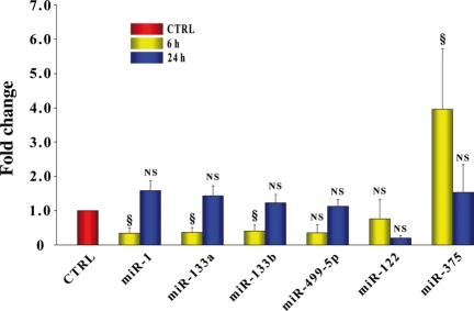 Figure 5