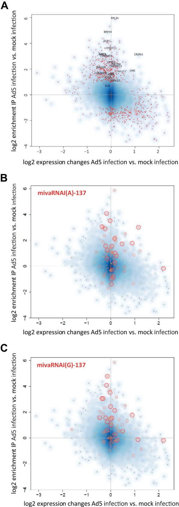 FIG 6