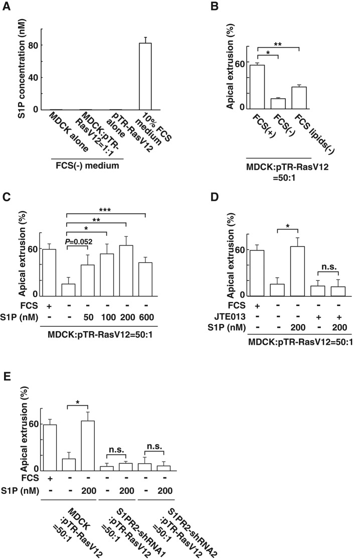 FIGURE 3: