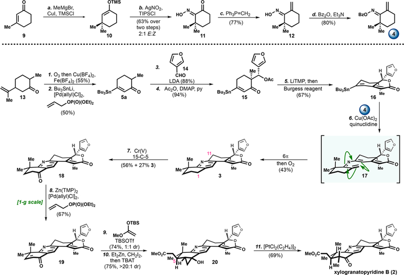 Scheme 3.