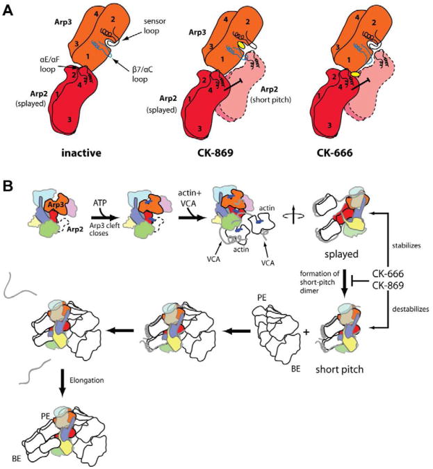 Fig. 6