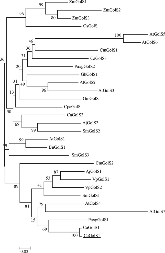 Figure 2