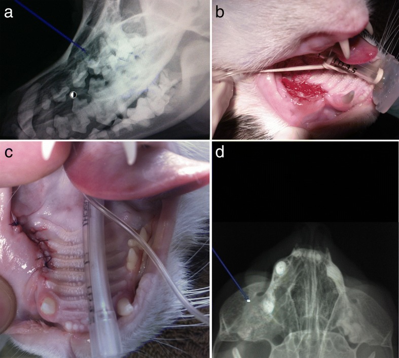 Fig. 13