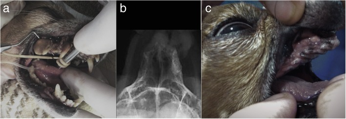 Fig. 7