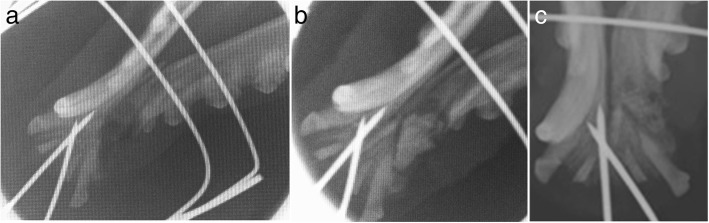 Fig. 5