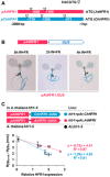 Figure EV3