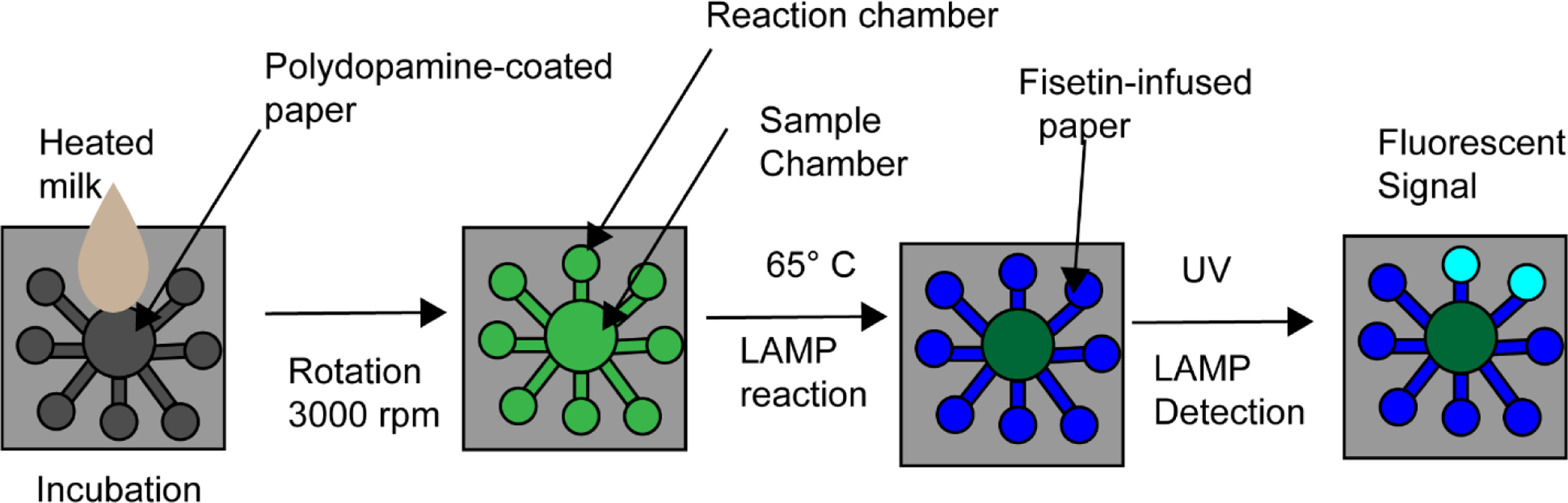 Figure 5: