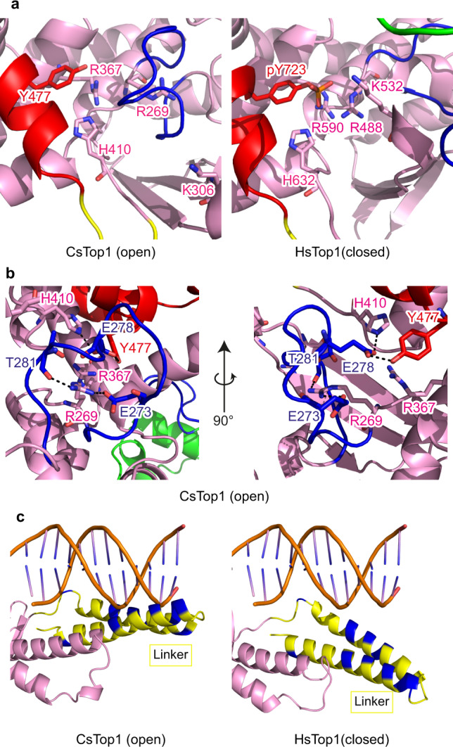 Fig. 4