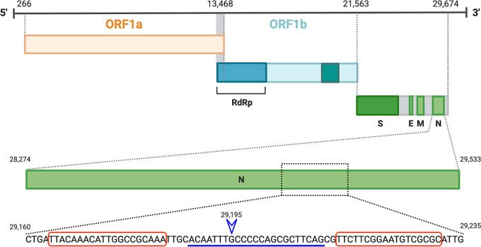 FIG 1