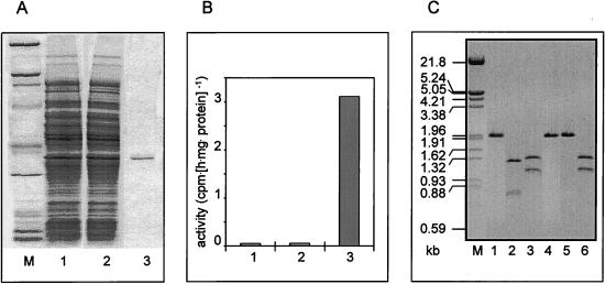 FIG. 6