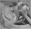 104